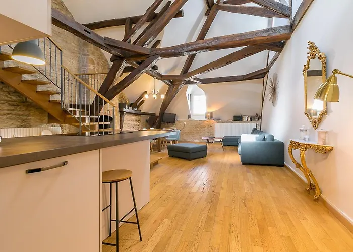 Le Mucie*****Loft Au Centre Ville De Dijon