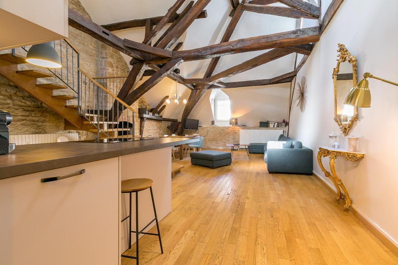 Le Mucie*****loft Au Centre De Dijon